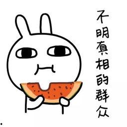 娱乐吃瓜酱上班,揭秘职场日常，带你领略办公室里的欢乐与八卦